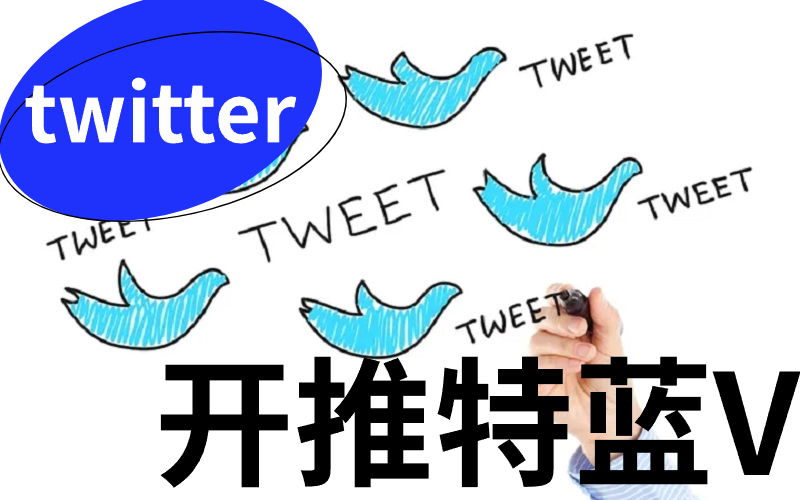 twitter x 推特蓝v认证条件（推特Premium蓝v会员怎么开通）.jpg