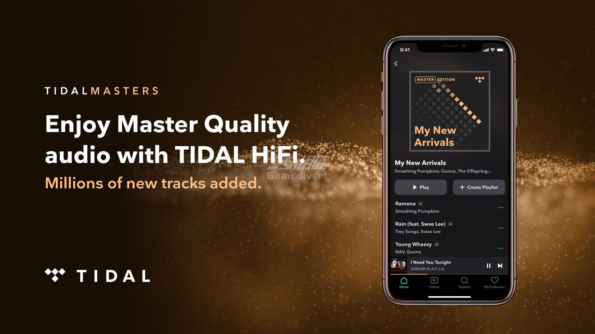 TIDAL高级计划.jpg
