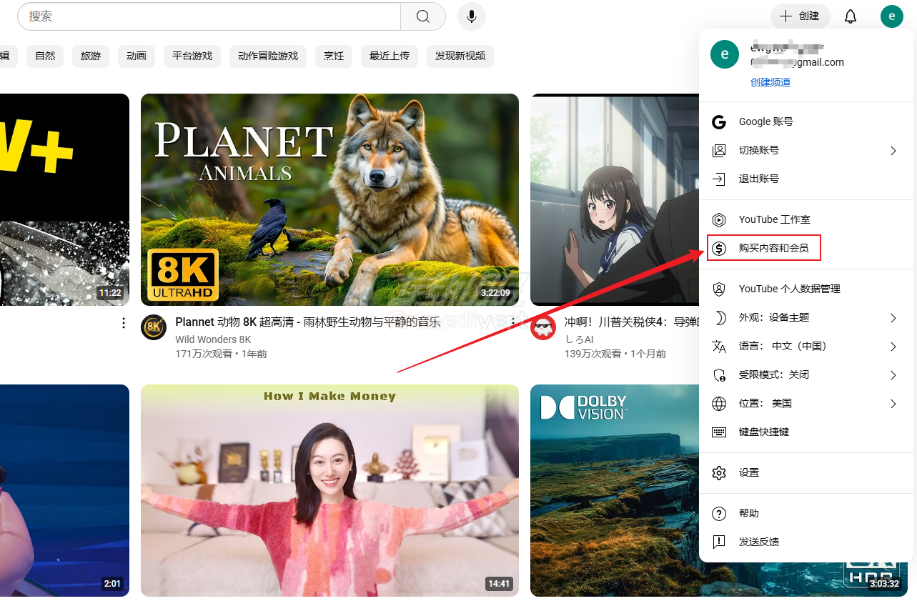 YouTube,油管,YouTube 个人频道会员, YouTube Premium, 频道会员 vs Premium, YouTube会员区别, 频道会员订阅教程,YouTube 去广告, 离线下载 YouTube, 后台播放 YouTube, YouTube会员代订阅,YouTube账号购买