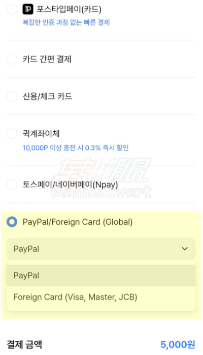 填写必要信息后完成支付 Postype, Postype代充, Postype点数充值, Postype充值, 포스타입代充, Postype海外充值, Postype积分购买, Postype韩国平台充值, Postype付费内容, Postype会员解锁, Postype代充服务, Postype攻略